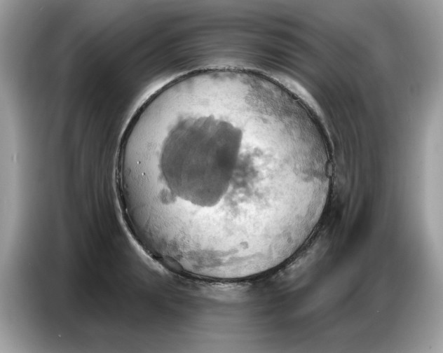 X0000086750847200704271709