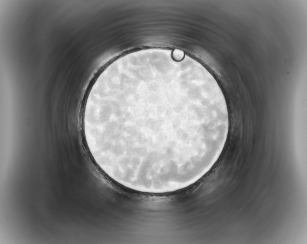 X0000086750848200704271709