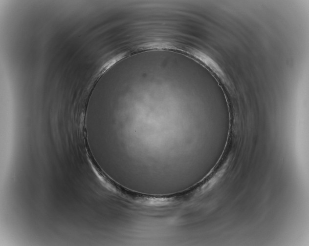 X0000086750849200704271709