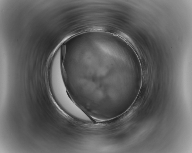 X0000086750851200704271709