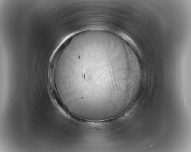 X0000086750852200704271709