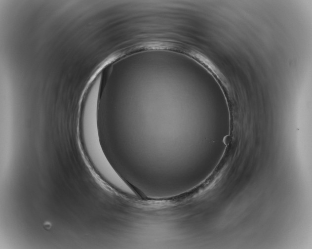 X0000086750853200704271709