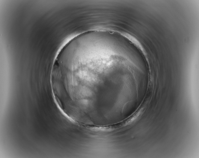 X0000086750855200704271709