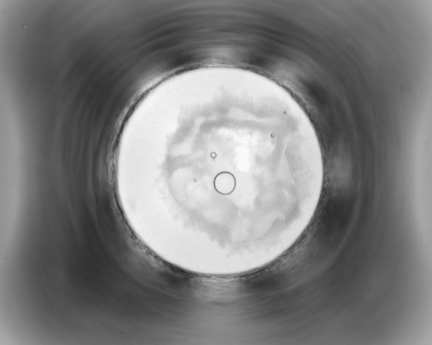 X0000086750856200704271709