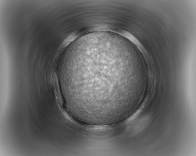 X0000086750857200704271709