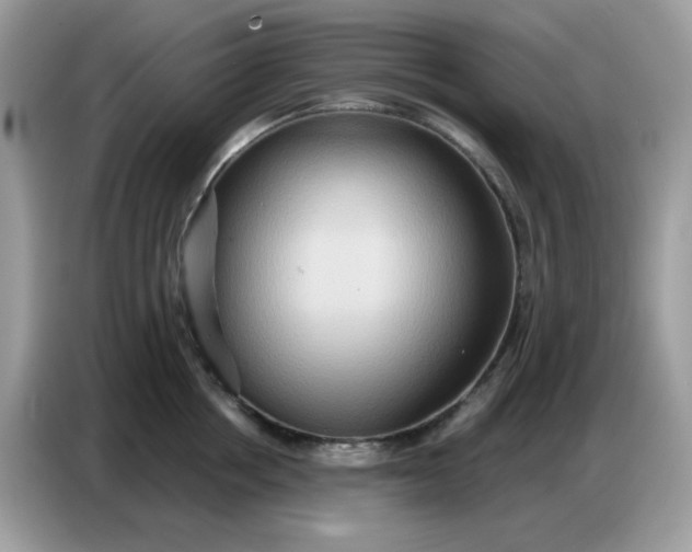 X0000086750858200704271709