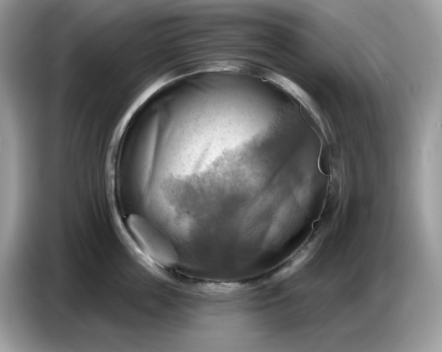 X0000086750859200704271709