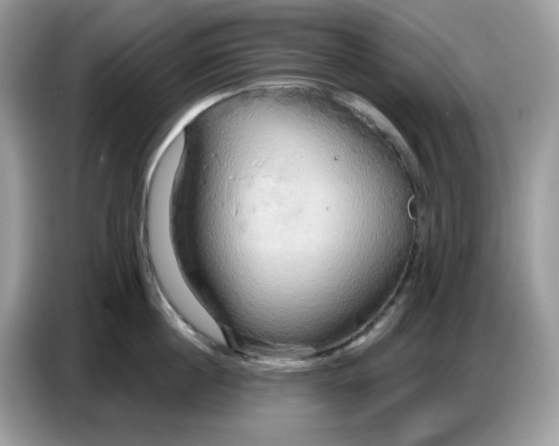 X0000086750860200704271709