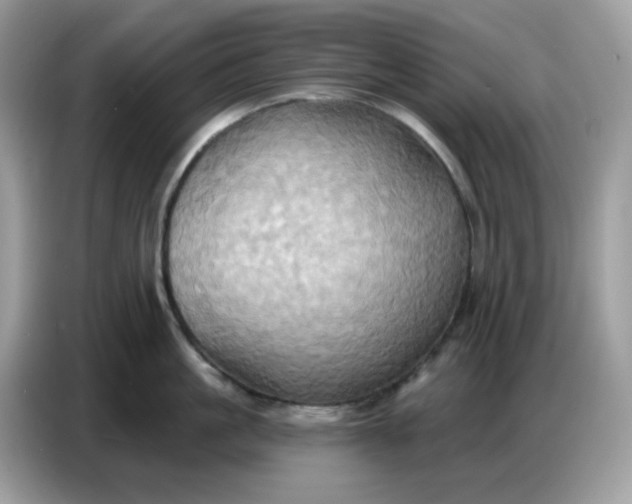 X0000086750861200704271709