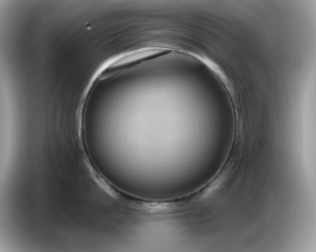 X0000086750862200704271709