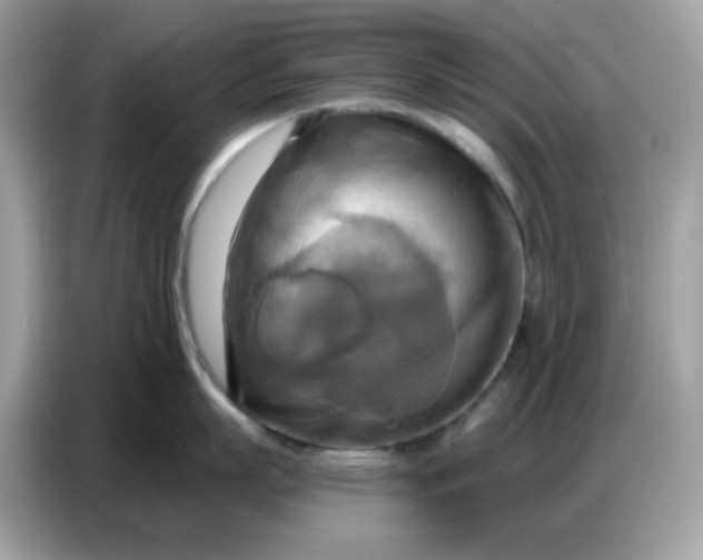 X0000086750863200704271709