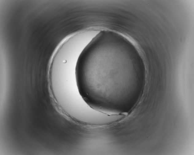 X0000086750864200704271709