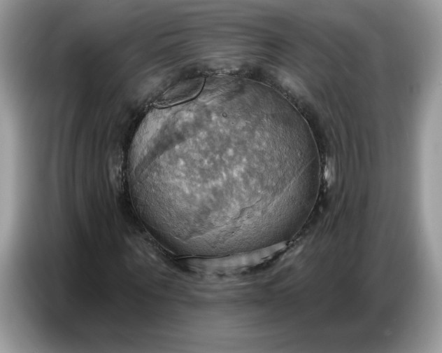 X0000086750867200704271708