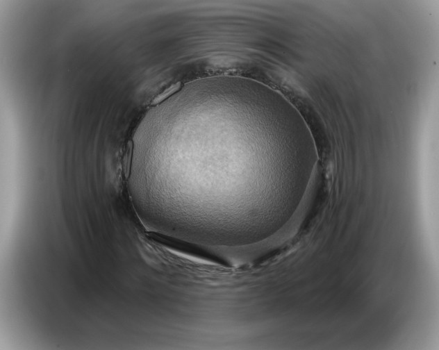 X0000086750868200704271708