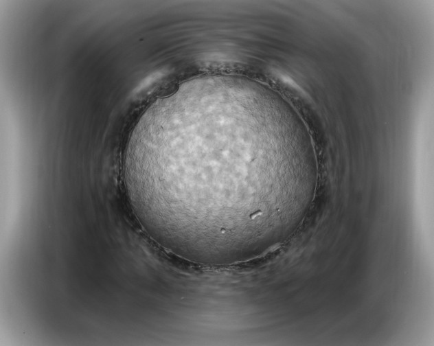 X0000086750870200704271708