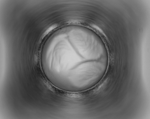 X0000086750874200704271708