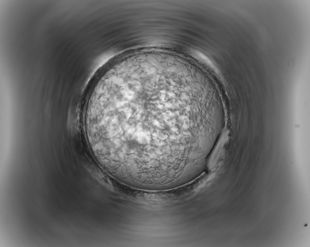 X0000086750875200704271708