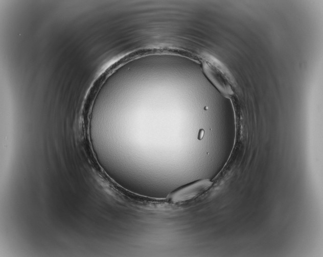 X0000086750876200704271708