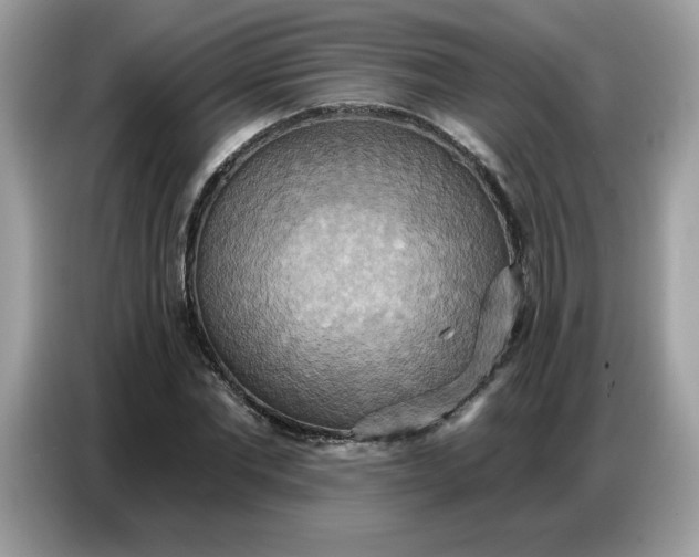 X0000086750877200704271708