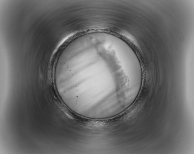 X0000086750878200704271708