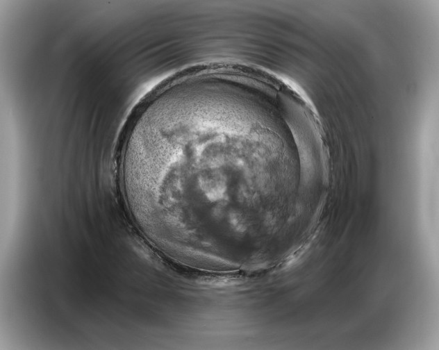 X0000086750879200704271708