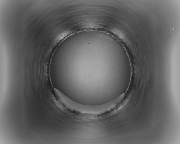 X0000086750881200704271708