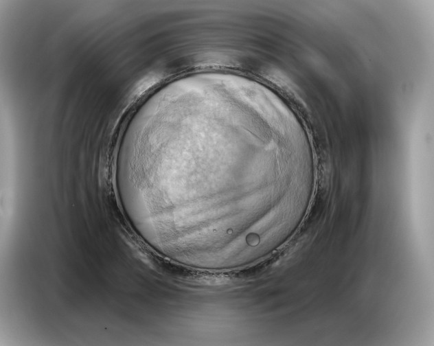 X0000086750882200704271708