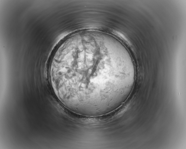 X0000086750883200704271708