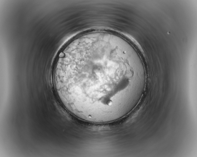 X0000086750887200704271708