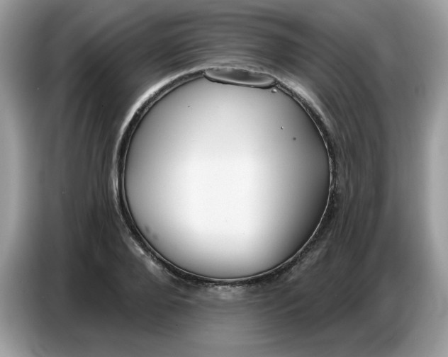 X0000086750888200704271708