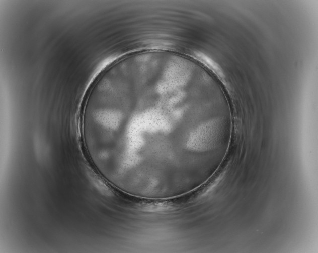 X0000086750891200704271708