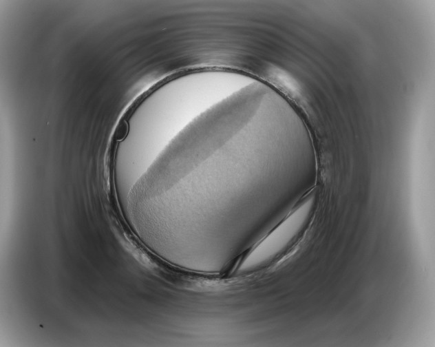 X0000086750892200704271708