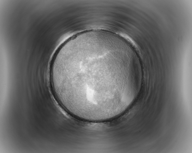 X0000086750894200704271708