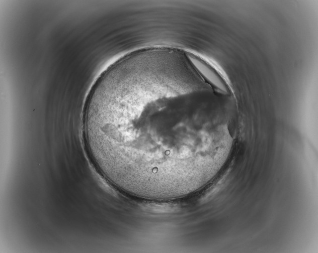 X0000086750895200704271708