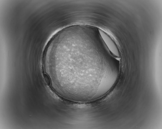 X0000086750896200704271708