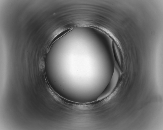 X0000086750897200704271708