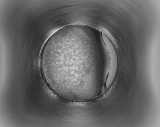 X0000086750900200704271708