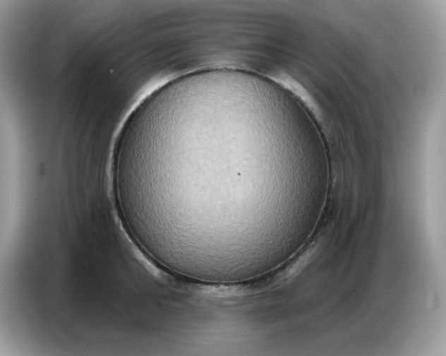 X0000086750902200704271708