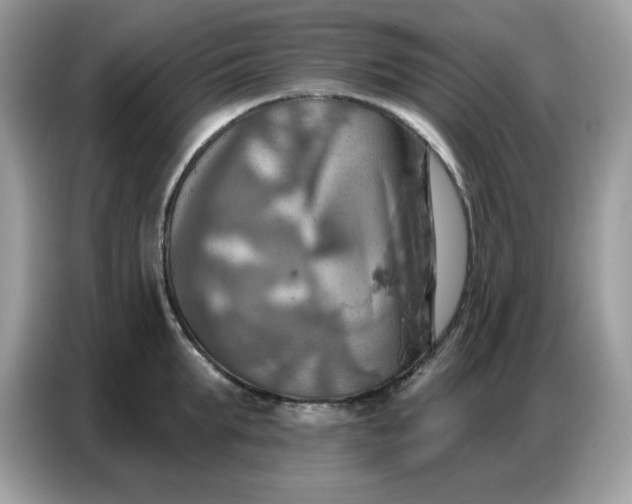 X0000086750903200704271708