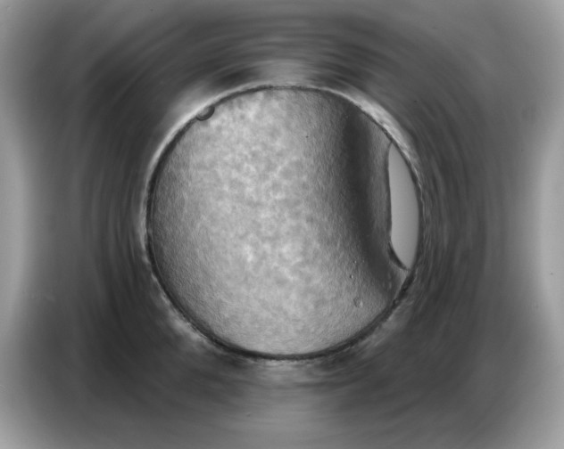 X0000086750904200704271708