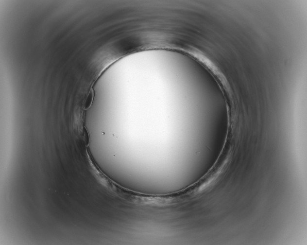 X0000086750905200704271708