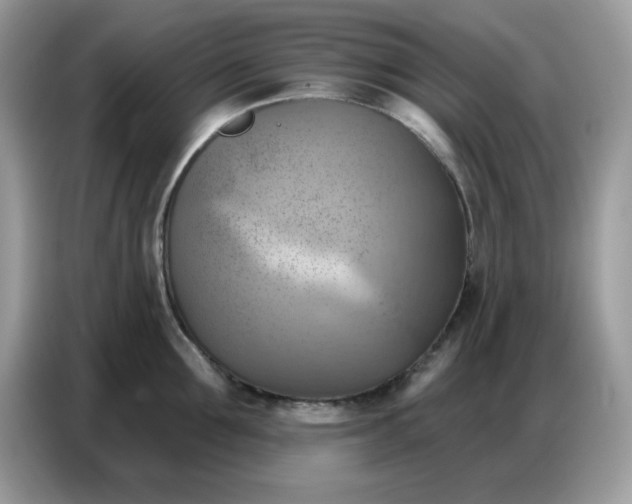 X0000086750907200704271708