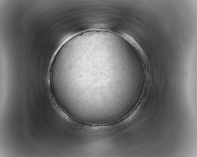 X0000086750908200704271708