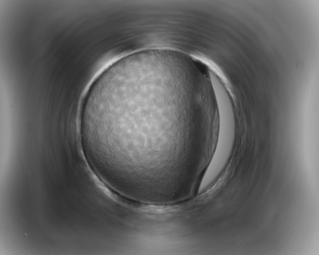 X0000086750910200704271708