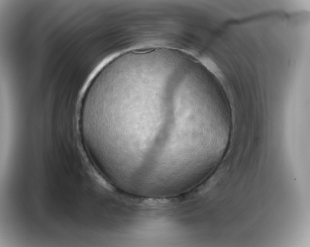 X0000086750912200704271708