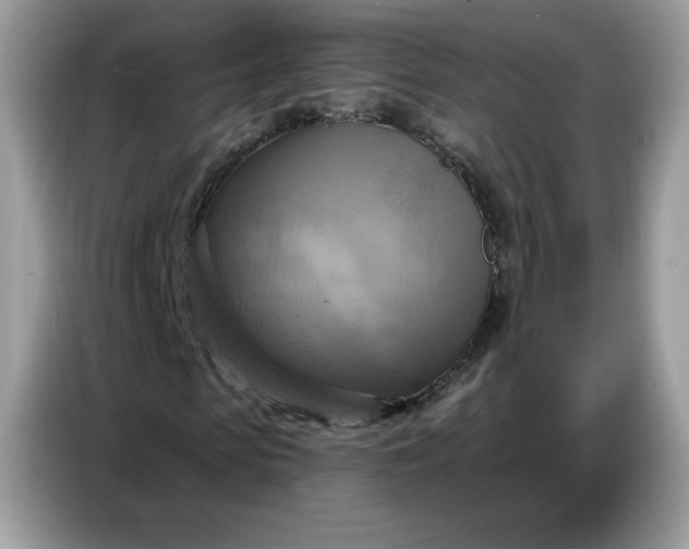 X0000086750913200704271707