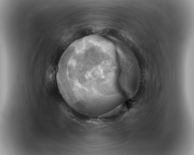 X0000086750914200704271707