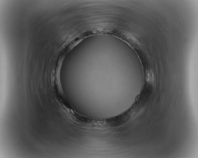 X0000086750915200704271707