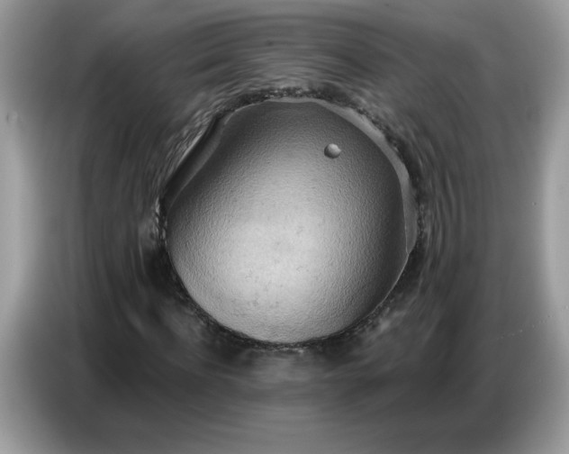 X0000086750916200704271707