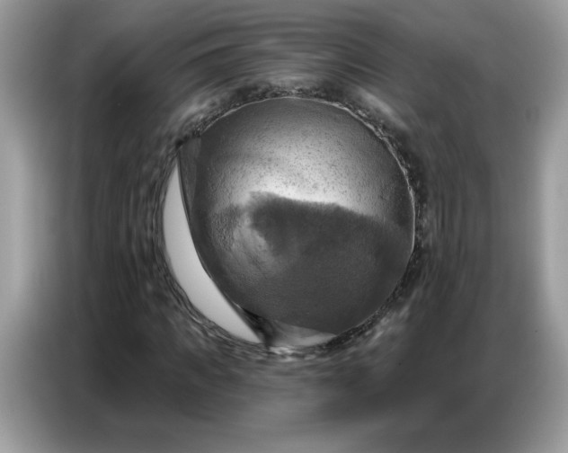 X0000086750917200704271707